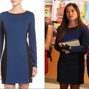 NWT Laundry by Shelli Segal Long Sleeve Colorblock Dress